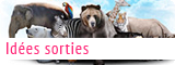 Idées sorties